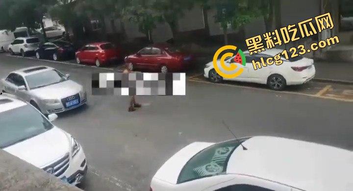 山西阳泉疯狂男子保晋路发疯砸车,连警车也不放过!-5
